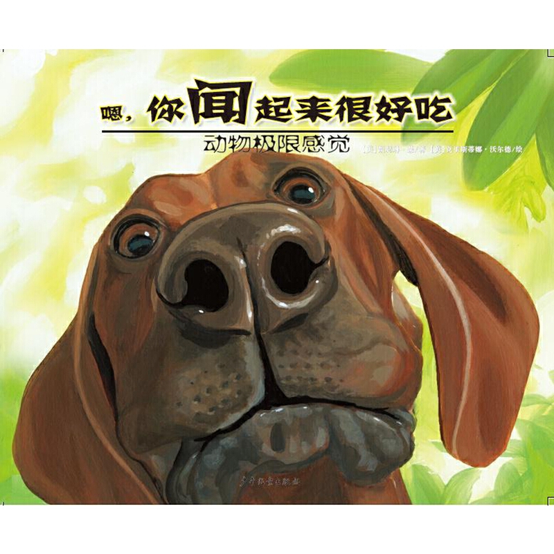 O޸X-ܺó