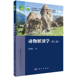 ʌWڶ棩
