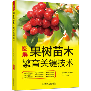 DľP(gun)Ig(sh)12N޽ľ(sh)硢wǤľ