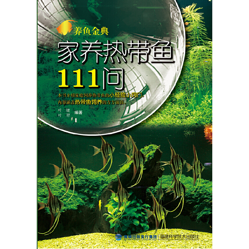 B(yng)~䡪B(yng)Ꭷ~11150ꡰ~g_B(yng)~гy}
