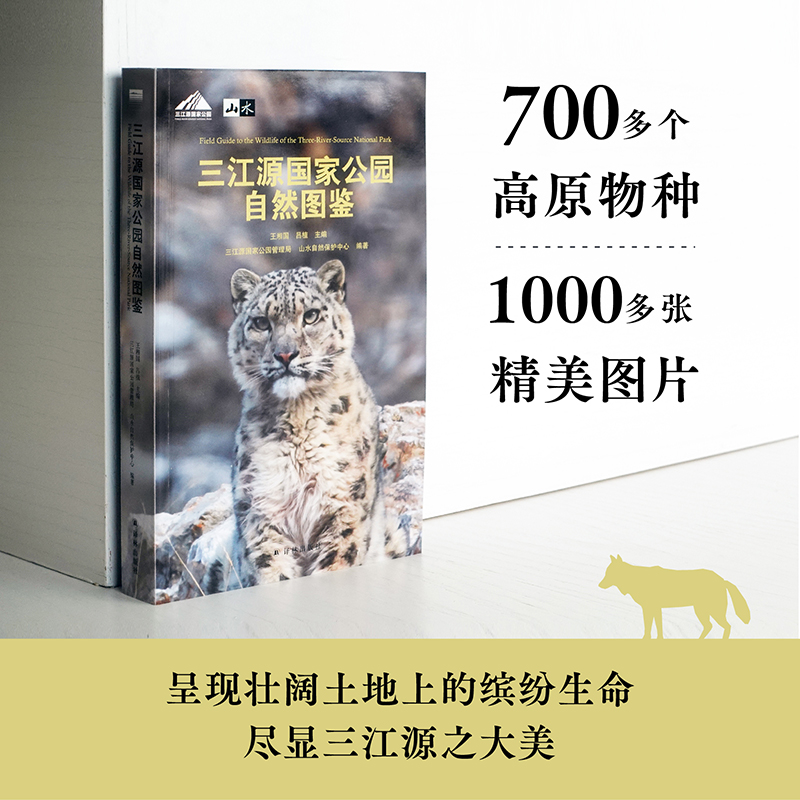Դҹ@ȻDb 700ԭN1000DƬʬF(xin)ϵ_H