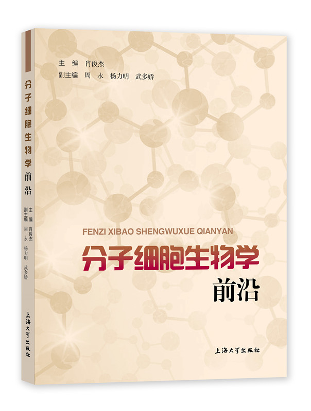 ӼW(xu)ǰ