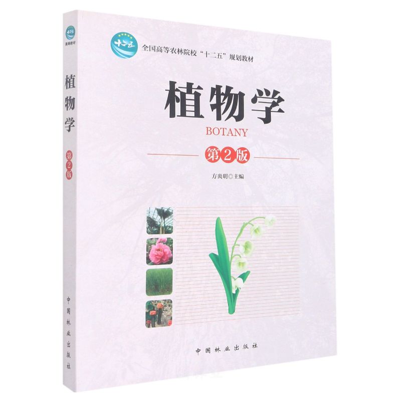 ֲWʮ壩