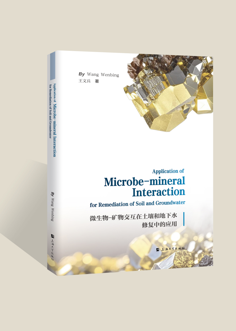 ΢-Vｻ͵ˮޏ(f)еđ(yng)ãApplication of Microbe-mineral Interaction for Remediation of Soil and Groundwater
