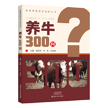  B(yng)ţ300(wn)