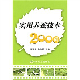 B(yng)Qg200