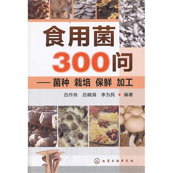 ʳþ300--Nr ӹ